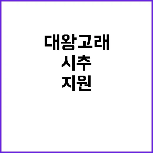 대왕고래 시추 50…