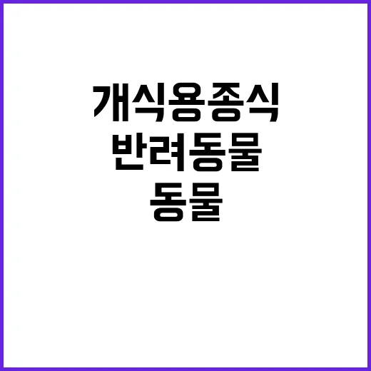 “개식용종식 반려동…