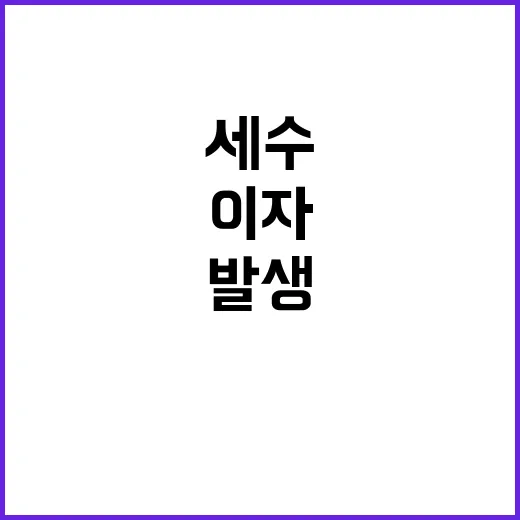 세수 부족 이자 부…