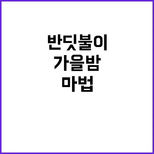 반딧불이 가을밤의 마법이 기다리는 곳!