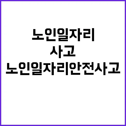 복지부 노인일자리 안전사고 관리의 모든 사실 공개!