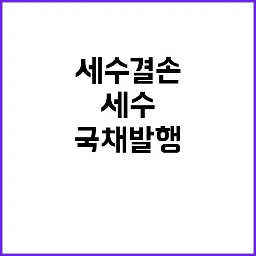 국채 발행 세수 결손과 무관한 진실 공개!