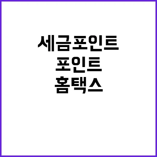 세금포인트 홈택스와 손택스에서 쉽게 확인 가능!