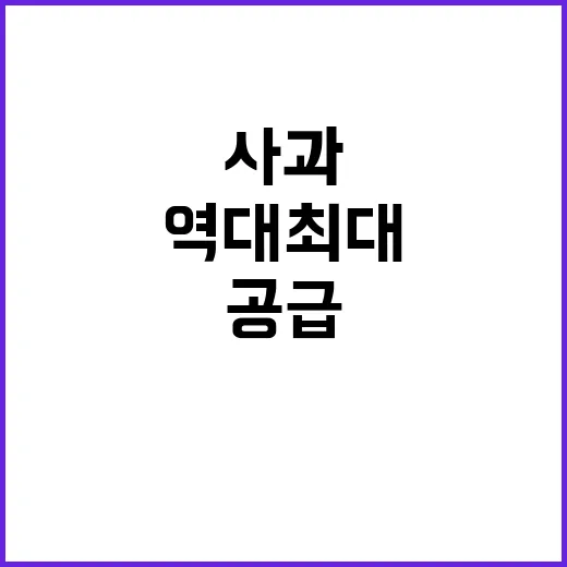 정부 역대 최대 배추·사과 공급의 진실은?