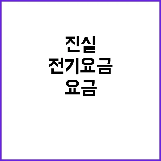 전기요금 진실 기재부의 공식 입장 공개!