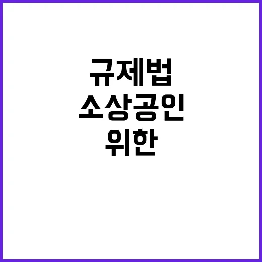 소상공인 규제법 부…