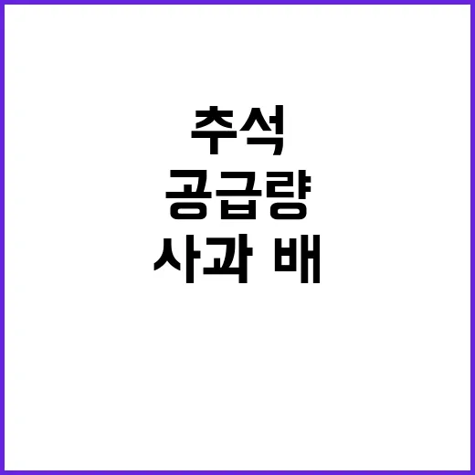 사과·배 공급량 추…