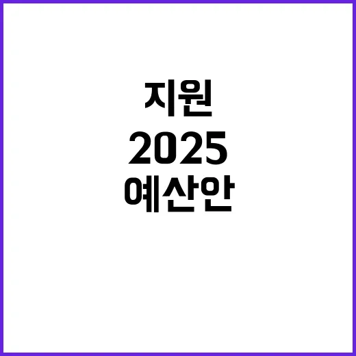 2025 예산안 살림살이에 꼭 필요한 지원 내용!