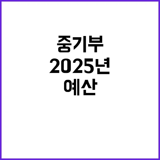 예산 증액 중기부 2025년 팁스R&D 40% 증가!