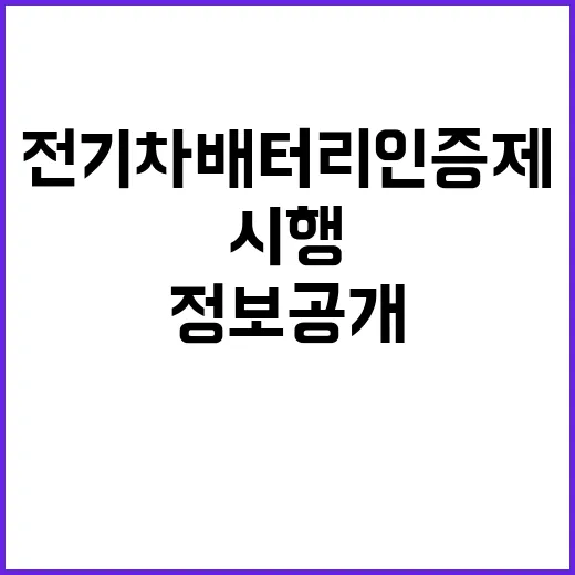 전기차 배터리 인증제 시행으로 제조사 정보 공개!