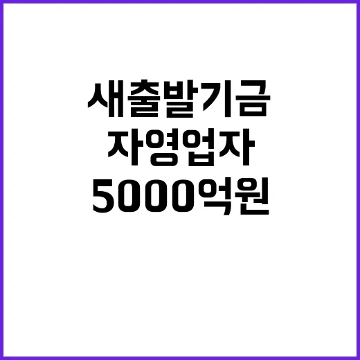 새출발기금 5000…