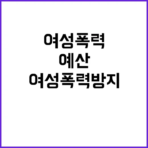 여성폭력방지 예산 증액의 진짜 이유는?