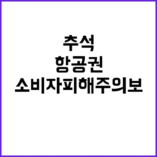 항공권 소비자 피해…