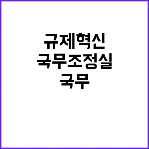 규제혁신 국무조정실…