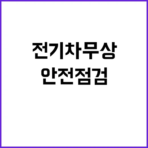 전기차 무상 안전점…