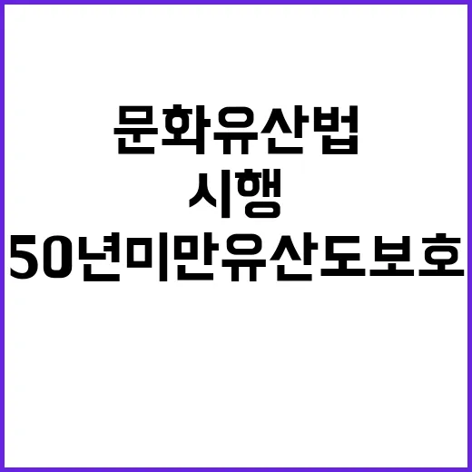 문화유산법 시행 5…