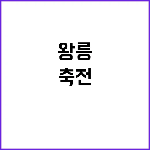 왕릉 드론 라이트쇼…