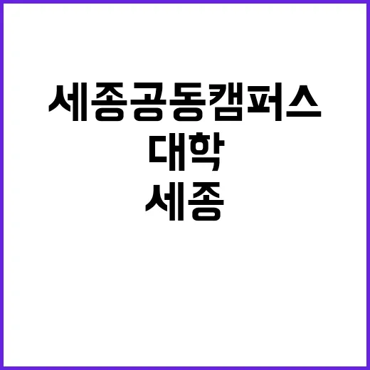 세종공동캠퍼스 대학…