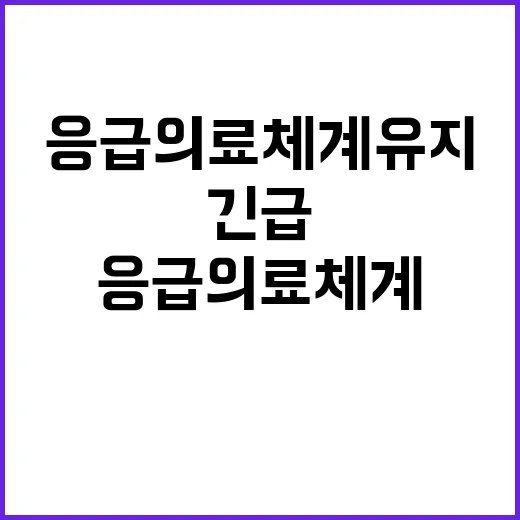 응급의료체계 유지 소방청의 긴급 당부가 필요!