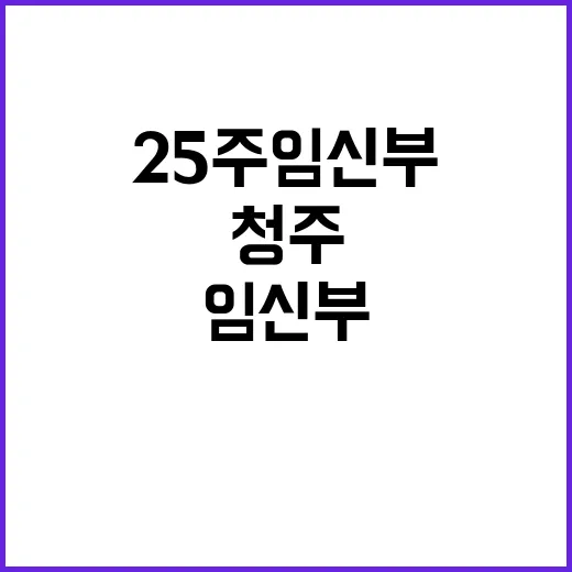 “충북 청주 25주…