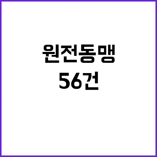 원전동맹 한체코 신…