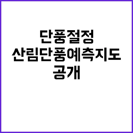 단풍 절정 10월 말 ‘산림단풍 예측지도’ 공개!