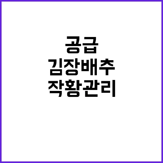 김장 배추 무 공급…