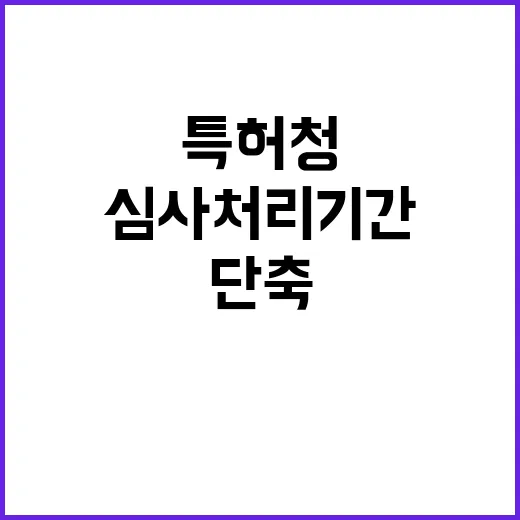 특허 심사처리기간 …