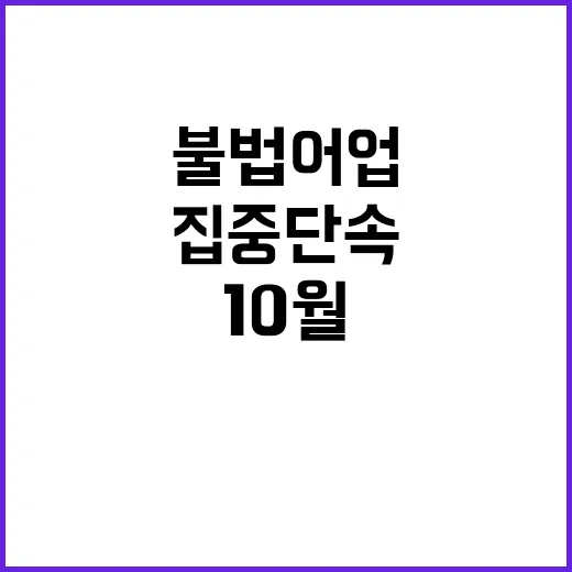 불법어업 10월 집…