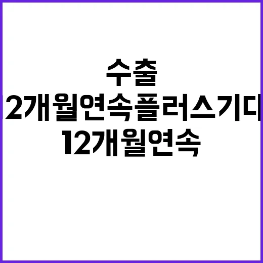 수출 호실적 12개월 연속 플러스 기대!