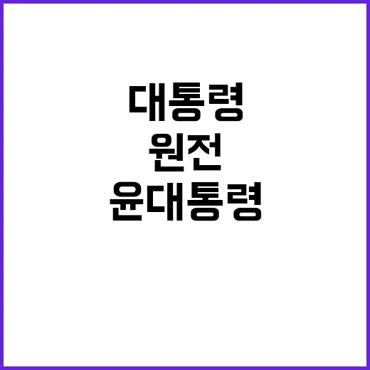 원전동맹 구축 윤 대통령의 후속조치 지시!