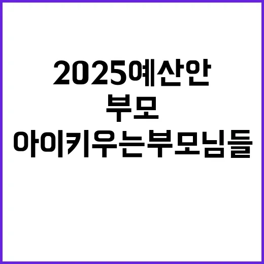 2025 예산안 아…