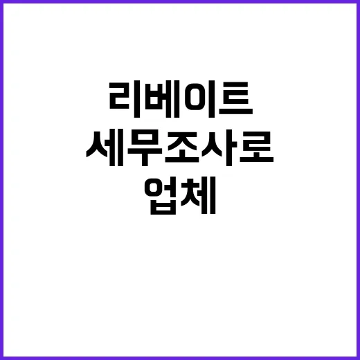 국세청 47개 업체…