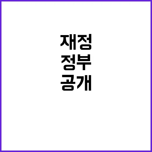 재정집행 정부의 기금 활용 방안 공개!