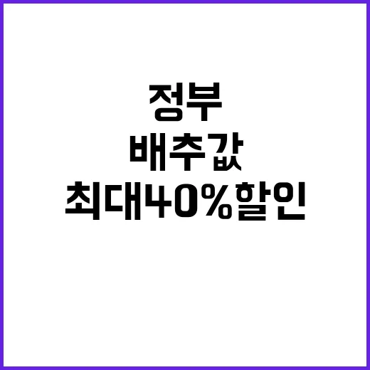 배추값 최대 40%…