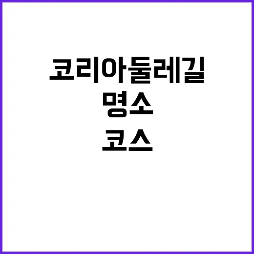 코리아둘레길 추천 …