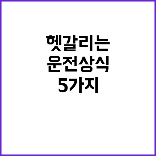 운전상식 뒤돌면 헷…