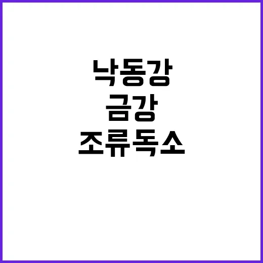 조류독소 낙동강과 …