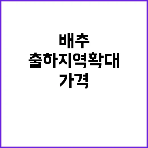 배추 출하 지역 확…