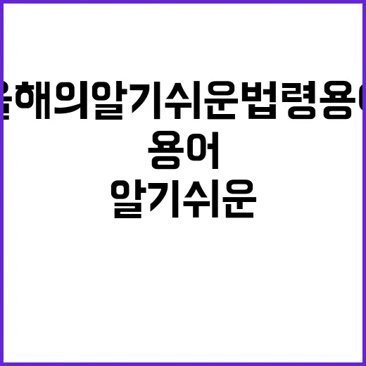 먼지 날림 올해의 알기 쉬운 법령 용어 공개! 