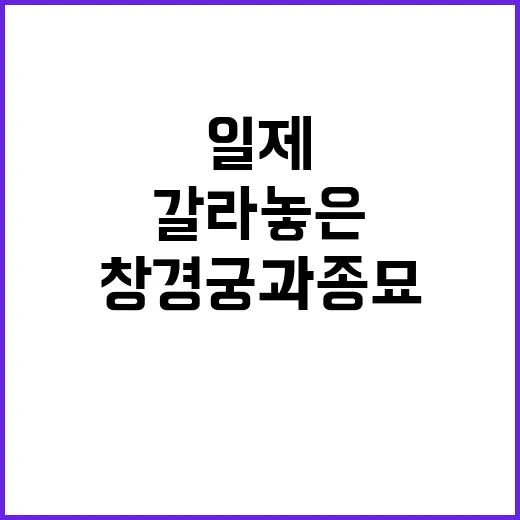 창경궁과 종묘 일제의 갈라놓은 역사 연결하다!