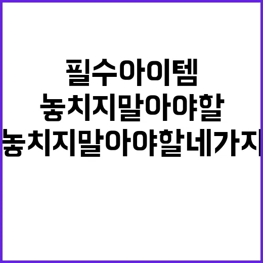 임산부 필수 아이템…