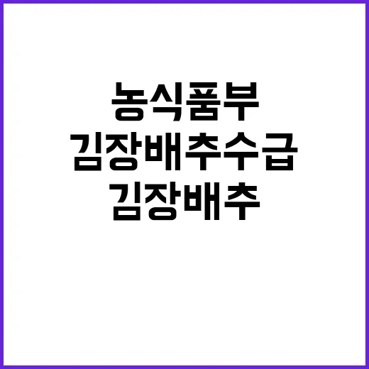 “김장배추 수급 농식품부의 확신과 계획 공개!”