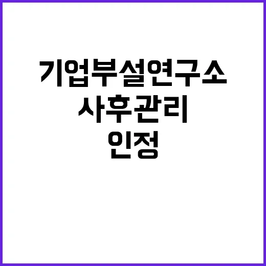 기업부설연구소 인정제도 위반 사후관리 강화 사실 공개