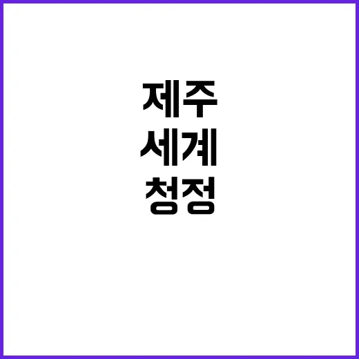 제주 세계 휴양지로 청정하고 행복한 비밀 공개!