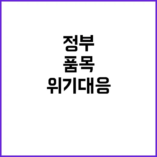 위기대응 정부의 5…