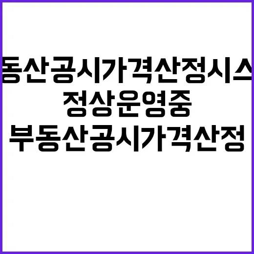 어린이놀이시설 증가 행안부의 놀라운 통계 공개!