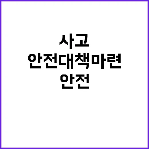 어린이·노인 사고 79개소 점검! 안전 대책 마련!