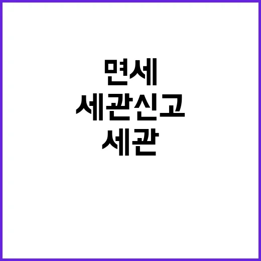 세관 신고 필요없는…