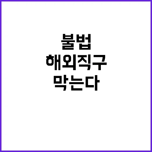 해외직구 단속 불법…